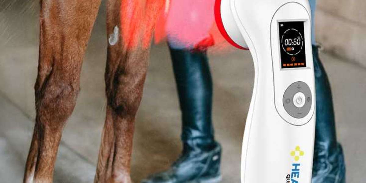 Horse Laser Therapy: A Modern Solution for Equine Healing and Recovery