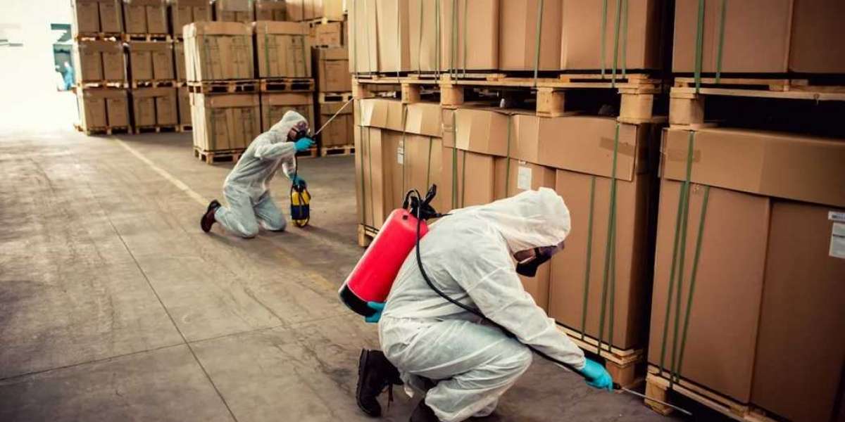 Safe and Effective Pest Control Sandgate: Protecting Homes and Businesses from Unwanted Pests