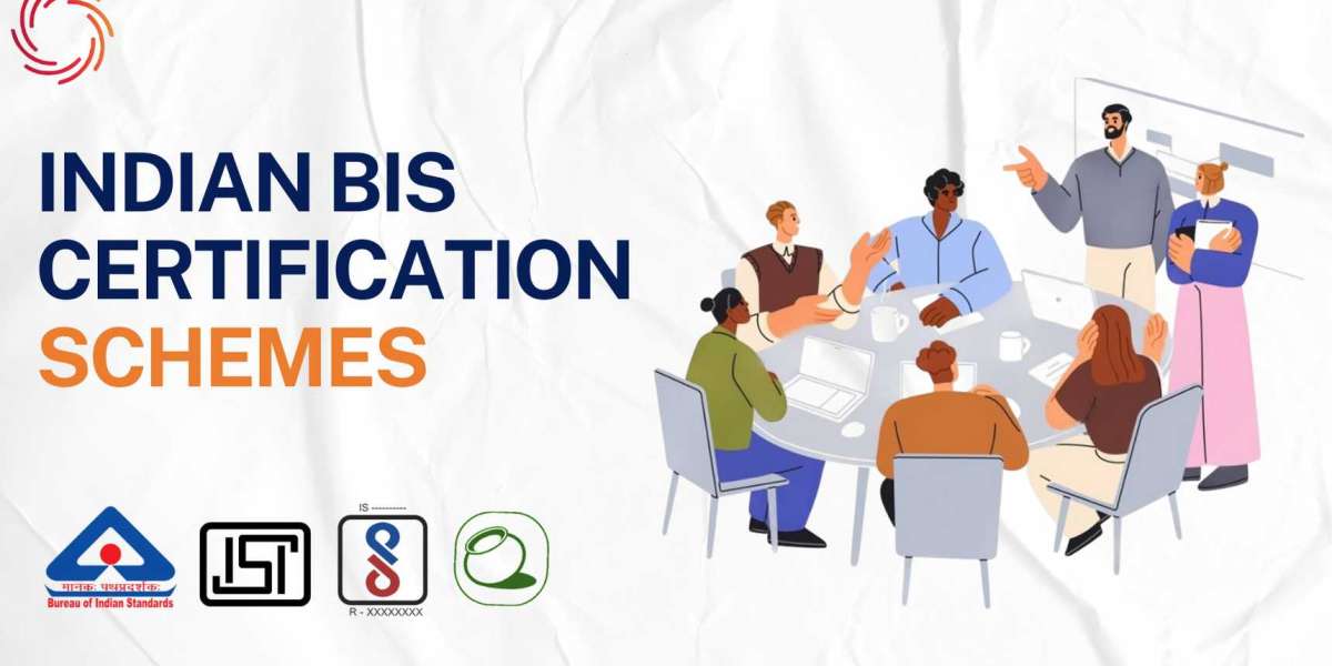 Step-by-Step Process of Obtaining a BIS FMCS License