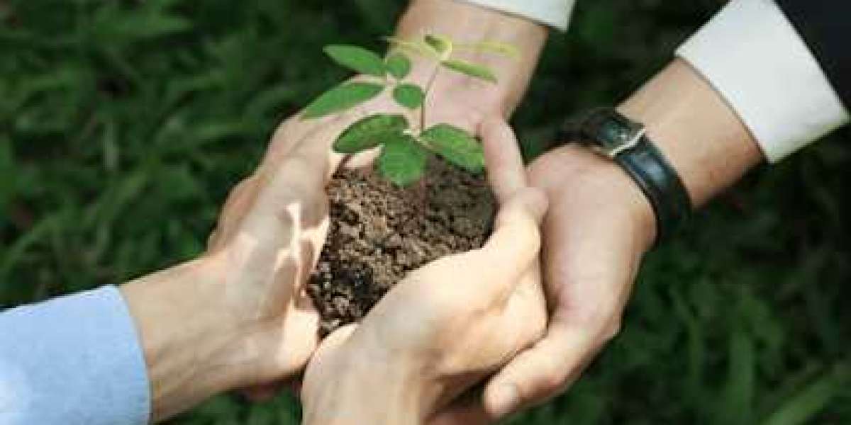 Life-Saving Skill of Seeking Responsibility