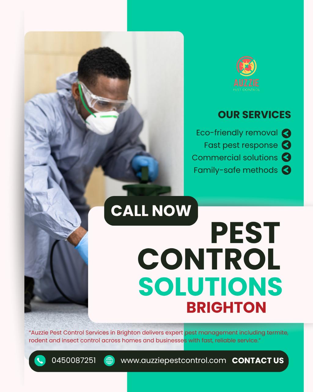 Pest control services in Brighton - Auzzie Pest Control