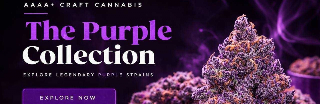 The Purple Shop Cannabis Cover Image