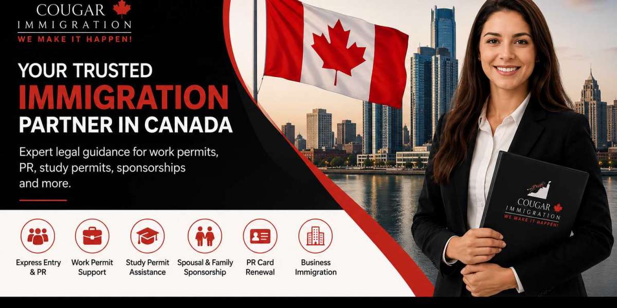 How Windsor Immigration Consultants Help with Express Entry