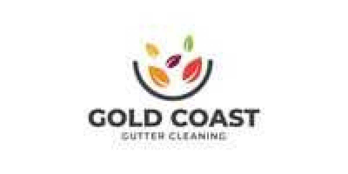 Why Professional Gutter Cleaning Matters for Every Property in Gold Coast