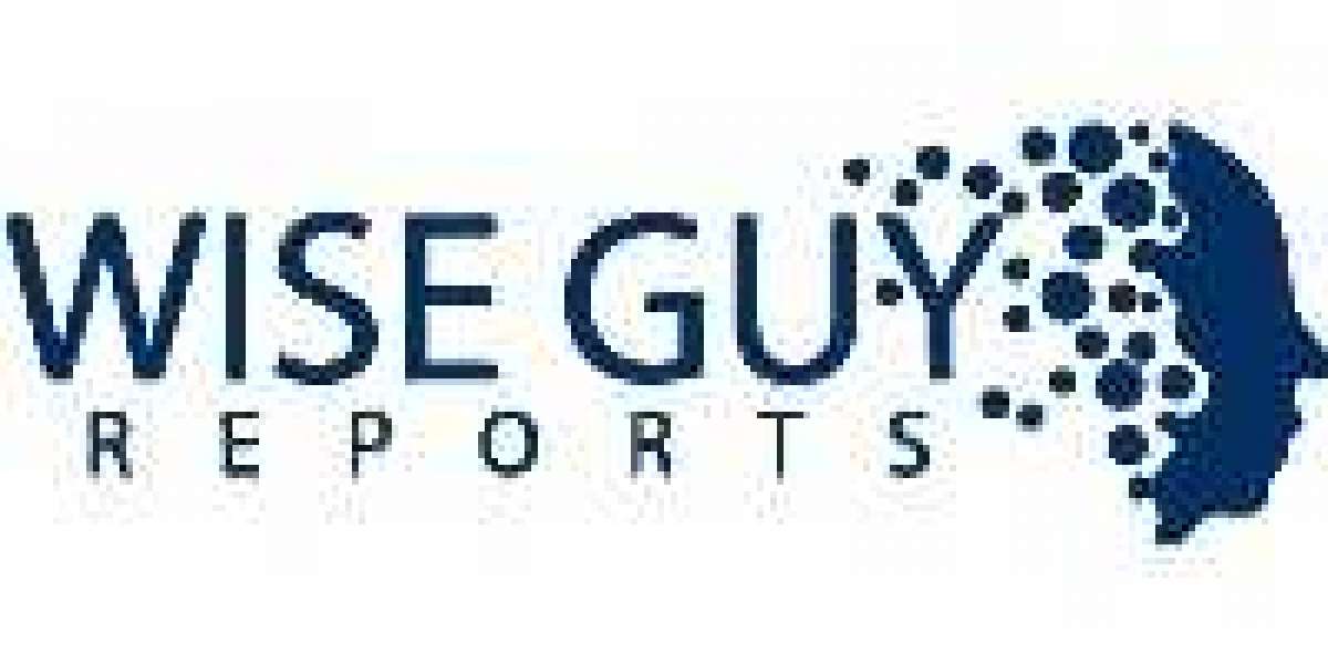Commercial Grills Market: Trends, Applications, and Industry Dynamics