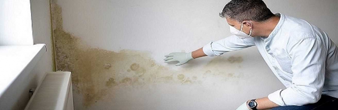 The Mould Assessors Cover Image