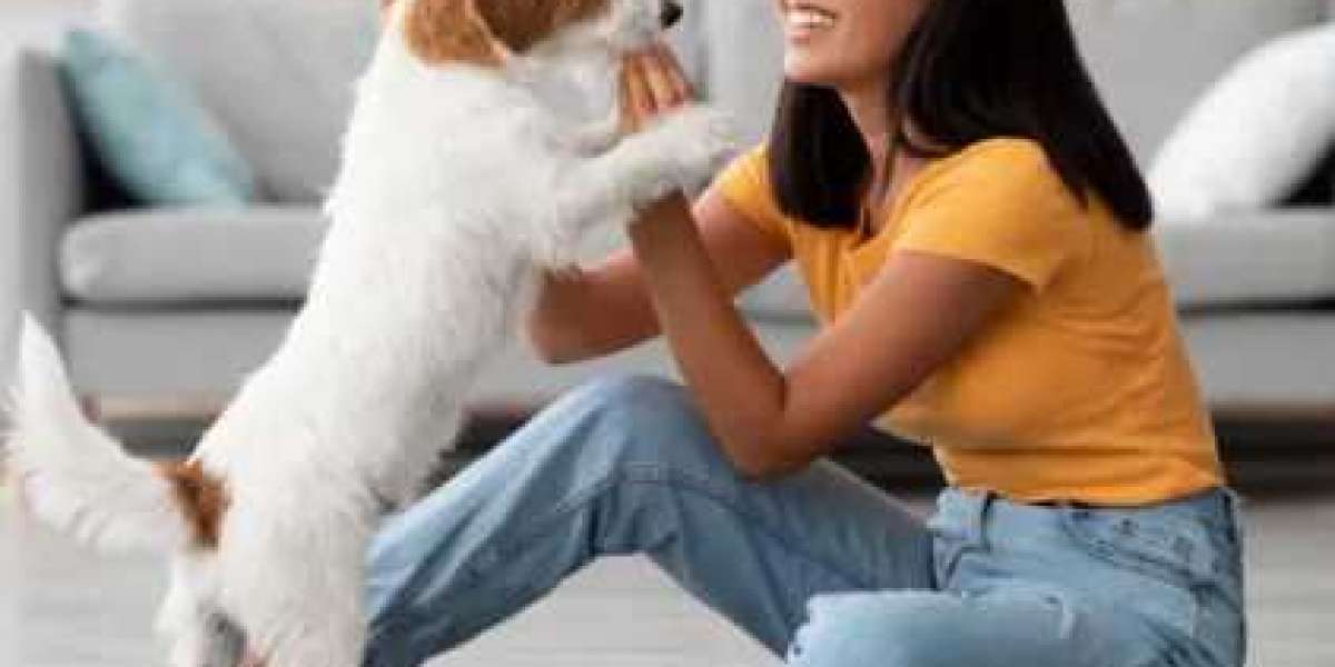 Top 10 Local Dog Trainers in Sacramento, California