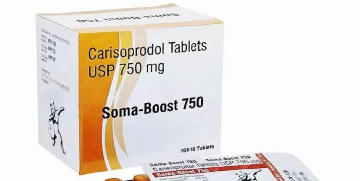 What Makes Somaboost 750 mg Effective for Muscle Pain?