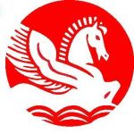 singhal12