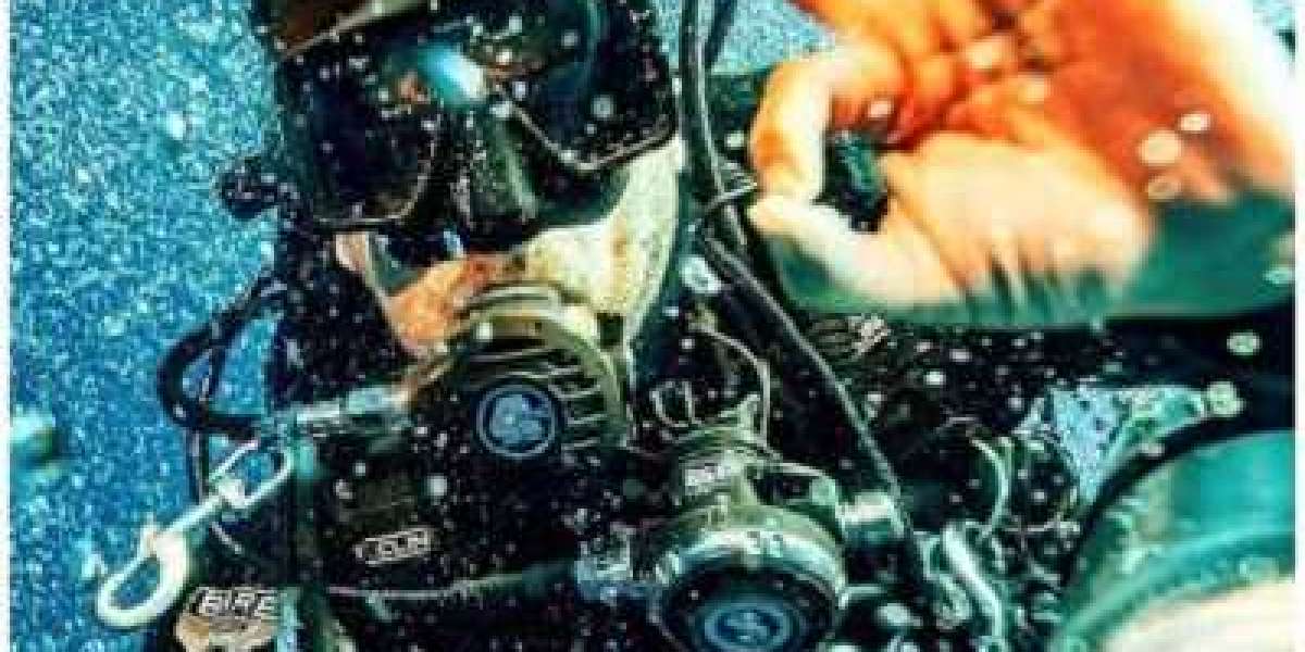 Article Picture