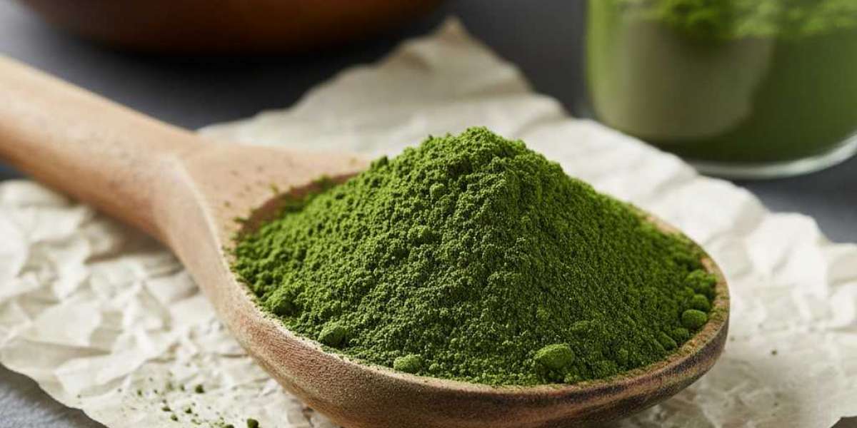 Spinach Powder Market Insights: Demand Breakdown, Competitive Trends, and Forecast 2034